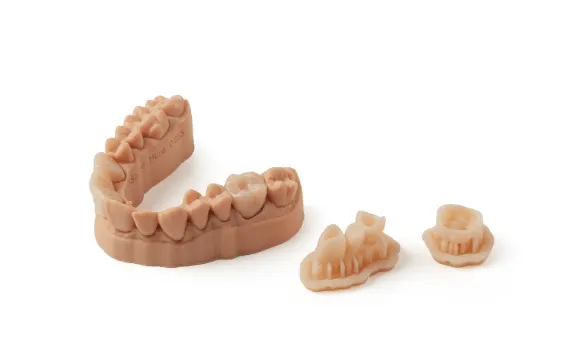 prótesis dental