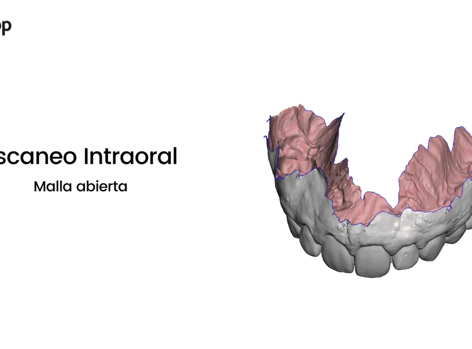 Meshmixer Dental tutorial para impresión 3D de modelos